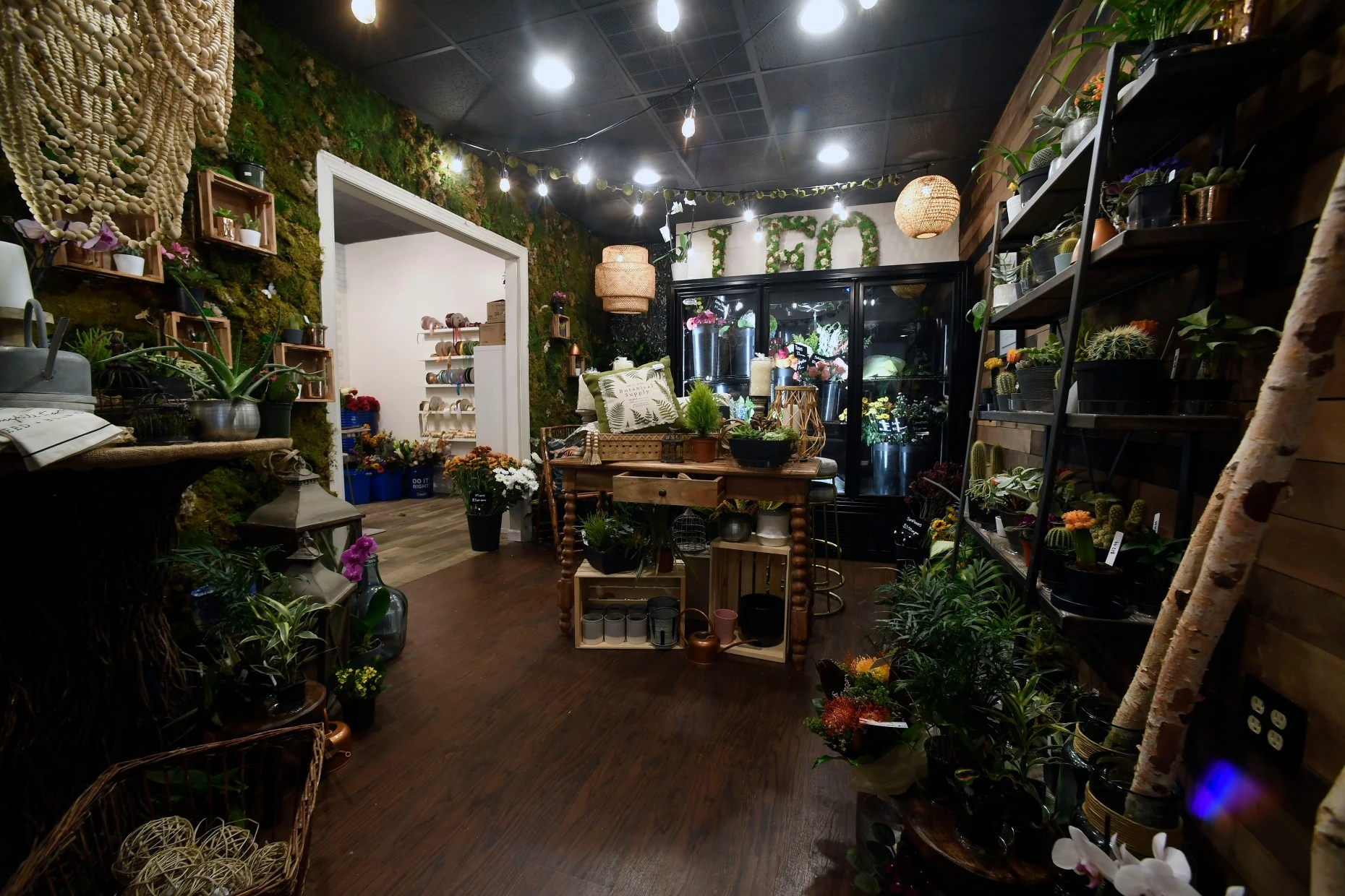 The LEO Design Gallery has expanded to include a flower market at its new location, 1295 Penn Ave., Wyomissing, Thursday, November 3, 2022 (BILL UHRICH – LESEADLER)